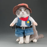 Spring and autumn pet cat costume