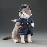 Spring and autumn pet cat costume