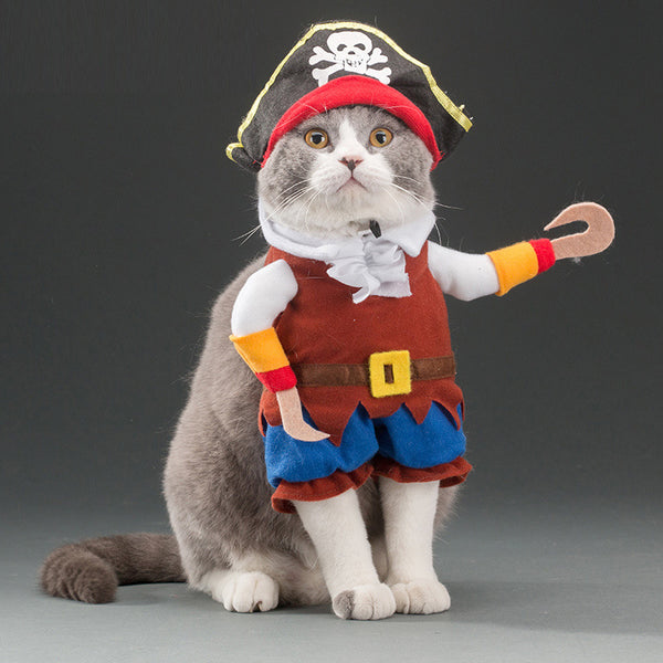 Spring and autumn pet cat costume