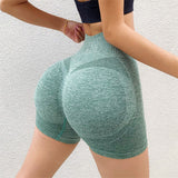 Yoga Shorts Pants Leggings