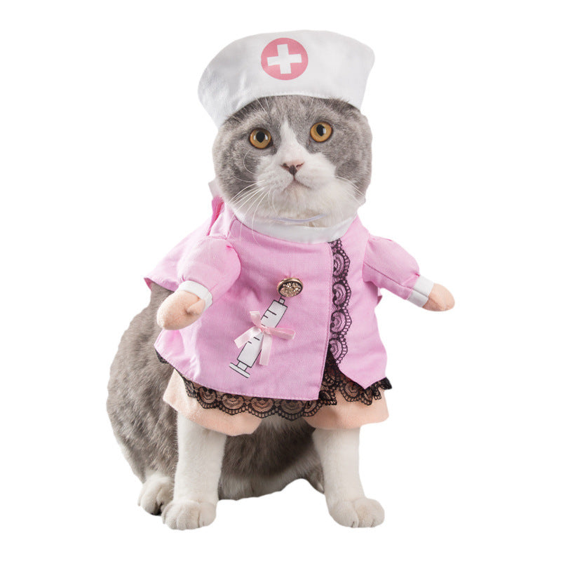 Spring and autumn pet cat costume