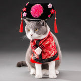 Spring and autumn pet cat costume