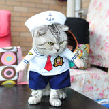 Spring and autumn pet cat costume