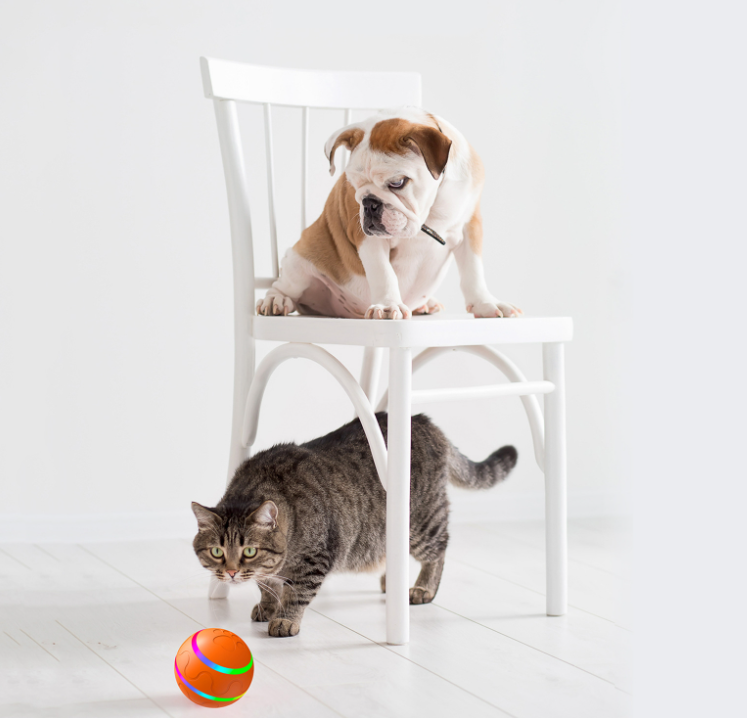 Pet New Cat Wicked Ball Toy Intelligent Ball