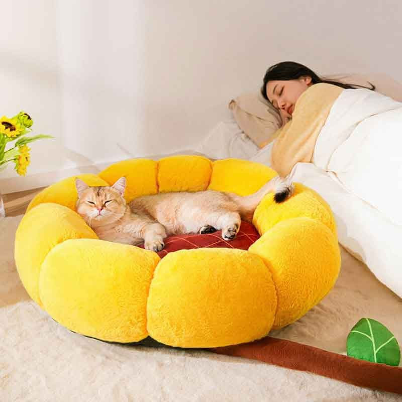 Cat Nest Mat