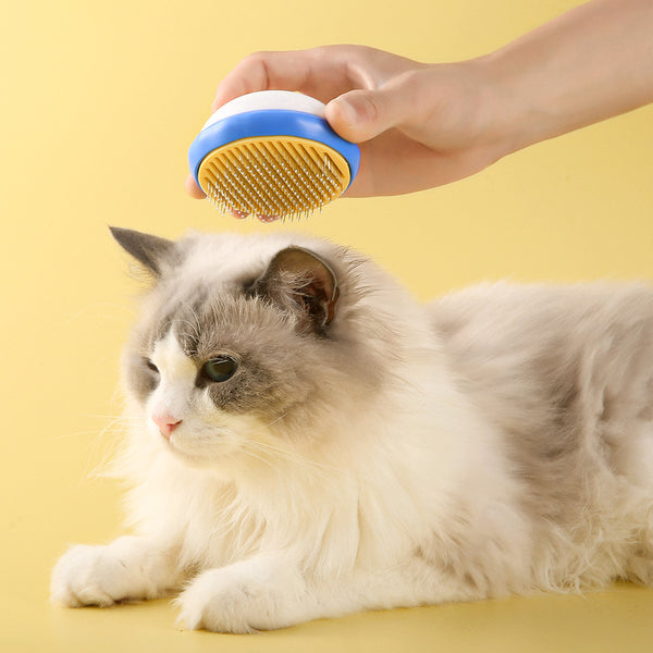 Cat Comb Pet Brushing