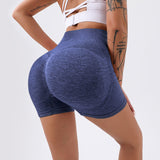 Yoga Shorts Pants Leggings